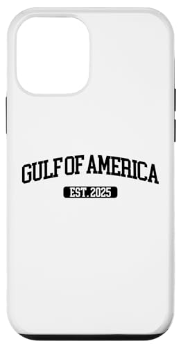 Golf von USA Amerika Est 2025 Golf von US Amerika Hülle für iPhone 12 mini Golf von USA Amerika Est 2025 Golf von US Amerika Hülle für iPhone 12 mini von Trump Gulf Of USA Merch