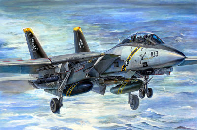 F-14B Tomcat von Trumpeter