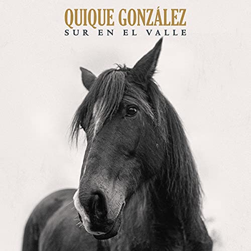 Sur En El Valle (LP + CD) [Vinyl LP] von Tsunami