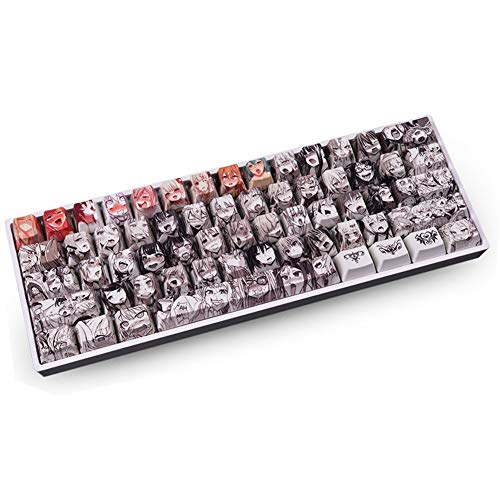 Keycaps, 61 Tasten PBT Keycaps Hintergrundbeleuchtung Zweifarbige mechanische Tastatur Keycpas für Ducky Keyboard / GH60 / RK61 / ALT61 / Annie/Keyboard Poker Keys (nur Keycaps von Tsung