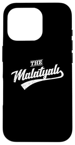 Hülle für iPhone 16 Pro Malatya 44 Memleket Türkiye Türkei Retro Geschenk von Türk Stylez Shirts