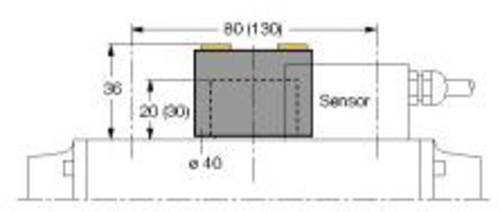 Turck 6900227 Betätiger BTS-DSU35-EU1 90St. von Turck