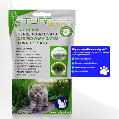 Turfquick Organic Cat Grass – Easy to Grow, Non-GMO, Biodegradable Mat – Supports Digestion & Reduces Hairballs – Ideal for Indoor Cats (10-Pack) von Turfquick