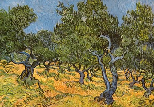 Tushita Kunstkarte Vincent van Gogh - Olivenhain von Tushita
