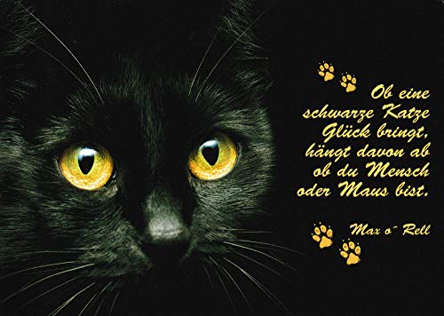 Tushita Postkarte Tiere Ob eine schwarze Katze Glück bringt, hängt davon ab ... von Tushita
