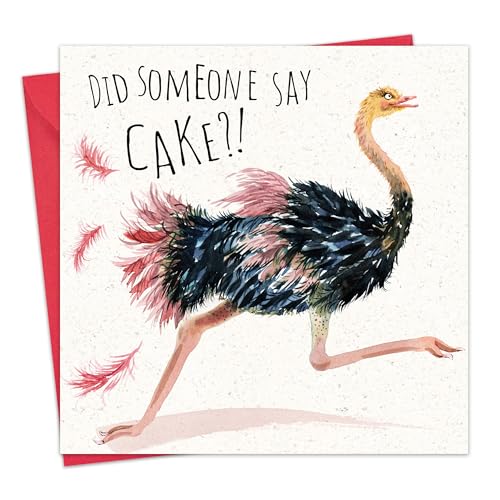 Twizler Lustige Strauß-Geburtstagskarte – lustige leere Karte – lustige Geburtstagskarte für Sie – Geburtstagskarte für Frauen – lustige Tier-Geburtstagskarte für Frauen von Twizler