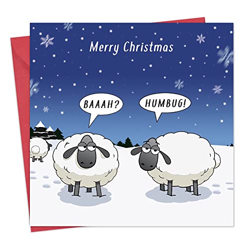 Twizler Merry Christmas Karte mit Bah Humbug & Schaf, Glückwunschkarte – Weihnachtskarte – Lustige Weihnachtskarten – Damen Weihnachtskarte – Herren von Twizler