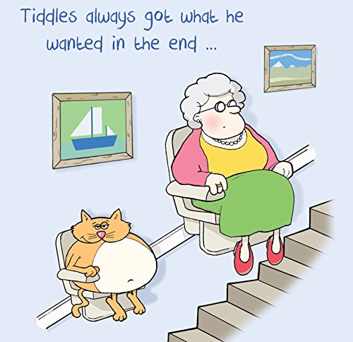 twizler Funny Karte mit Fat Cat, alte Lady und Treppe Lift – blanko – Happy Birthday Karte – HUMOR – Ruhestand – Muttertag Karte – Anniversary Karte von Twizler