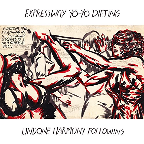 Undone Harmony Following [Vinyl LP] von Type