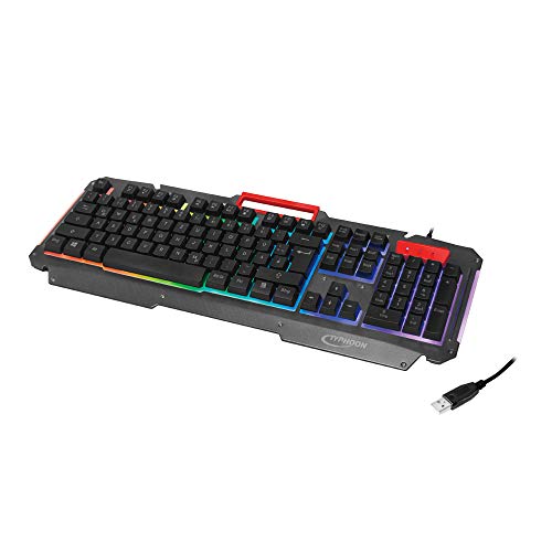 Typhoon TI022 - Gaming Tastatur mit Regenbogen-Hintergrundbeleuchtung und abnehmbaren Tasten (104 Tasten) für Windows/MAC OS/Linux, Schwarz von Typhoon