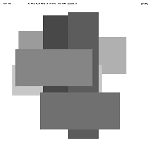 We Have Much More In Common Than What Divides Us [Vinyl LP] von U Know Me Records