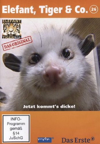 Elefant, Tiger & Co. - Teil 26: Heidi - Jetzt kommt's dicke! [2 DVDs] von UAP Video GmbH