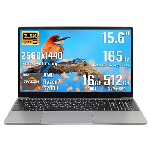 UDKED Laptop 15,6" 2,5K LCD 2560x1440/ Bildwiederholfrequenz 165Hz/Metallgehäuse/AMD Ryzen7 5700U NvMe SSD/8 Kerne und 16 Threads /16G DDR4 /6000mAh/1,8 GHz ~ 4,3 GHz (Grau, 16+512GB) von UDKED