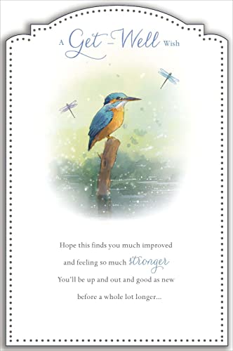 UK Greetings Gute Besserung Karte für ihn/sie/Freund – Vogel-Design, grün, 137 x 210 mm von UK Greetings