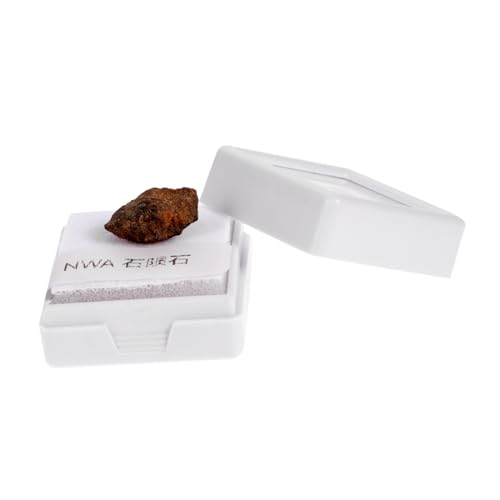 ULTECHNOVO Meteoritenexemplar Meteoritenornament Paläontologie Verzierung Klassenzimmerunterricht Meteorit Schülerunterricht Meteorit Lehrmittel Meteoritenverzierung Olive Meteoritenstein von ULTECHNOVO