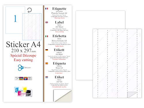 100 Blatt DIN A4 Etiketten "Kreation individuelle" (210 x 297 mm) 5 individuell ablösbare Trägerblattstreifen auf der Rückseite. Kompatibel mit allen gängigen Drucksystemen und Softwareprogrammen von UNIVERS GRAPHIQUE