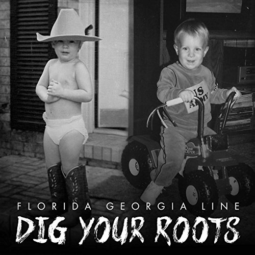 Dig Your Roots von UNIVERSAL INT. MUSIC