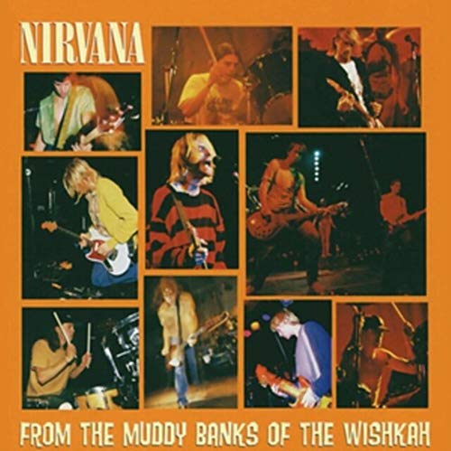 From The Muddy Banks Of The Wishkah [Vinyl LP] von UNIVERSAL MUSIC GROUP