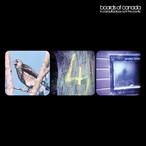 In a Beautiful Place Out in the Country [Vinyl Single] von WARP RECORDS