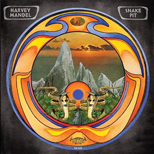 Snake Pit [Vinyl LP] von TOMPKINS SQUARE