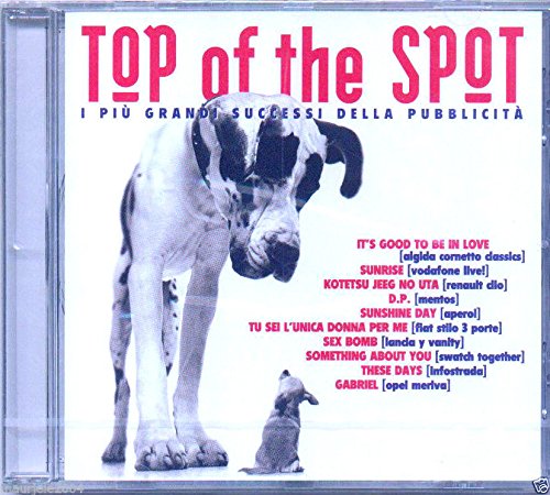 Top of the Spot 2003 von UNIVERSAL STRATEGIC