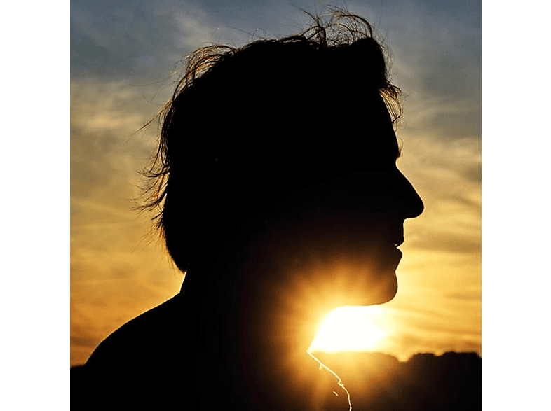 Thomas Dutronc - Il n'est jamais trop tard (LP) (Vinyl) von UNIVERSAL