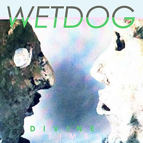 Divine Times [Vinyl LP] von MINISTRY OF SOUND
