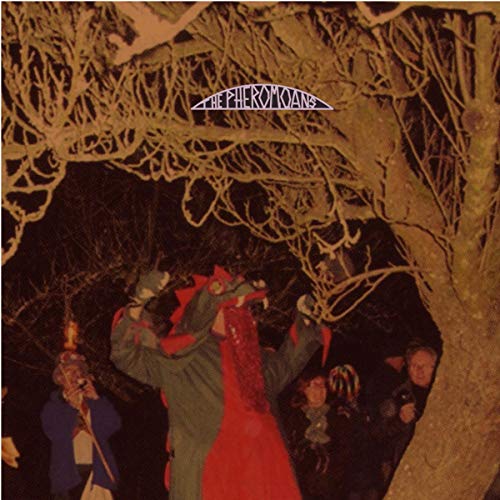 Does This Guy Stack Up? [Vinyl LP] von UPSET THE RHYTHM