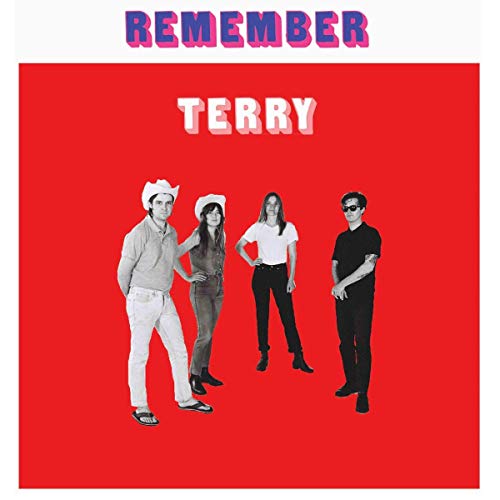 Remember Terry [Vinyl LP] von UPSET THE RHYTHM