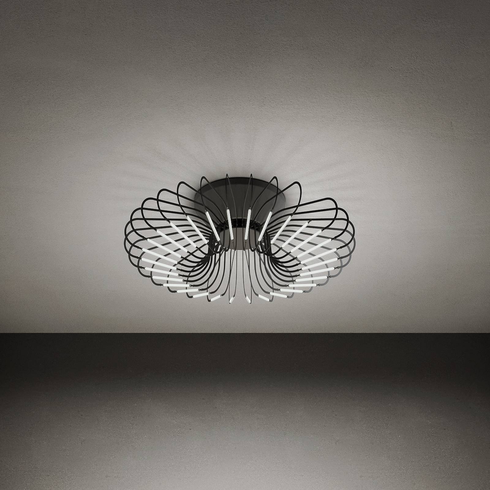 LED-Deckenleuchte Filo, titanfarben, Metall, Ø 50 cm, 2.700K LED-Deckenleuchte Filo, titanfarben, Metall, Ø 50 cm, 2.700K von URBAN by Sforzin