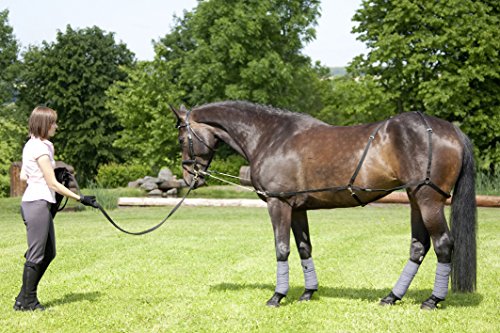 Longier/Trainingssystem Longier/Trainingssystem von USG