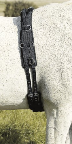 Longiergurt Neopren m. Handschlaufen Longiergurt Neopren m. Handschlaufen von USG