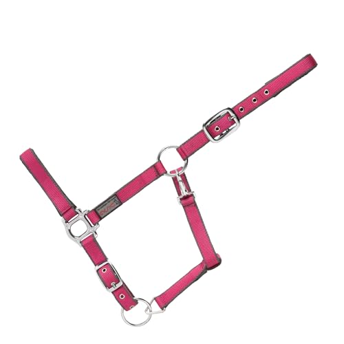 USG 15050007 Halfter, silberfarbene Beschläge, Soft unterlegt, Fuchsia/Grau, Warmblut von USG