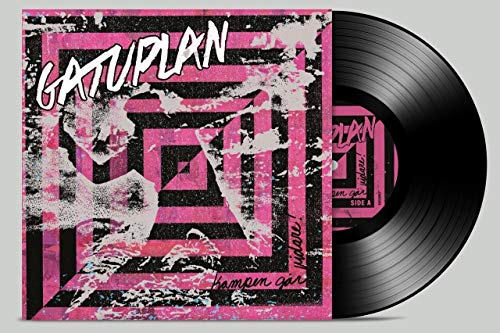 Kampen Gar Vidare! [Vinyl LP] von Wild Kingdom