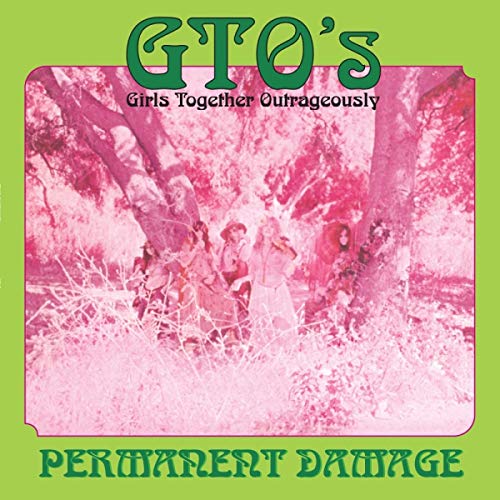 Permanent Damage [Vinyl LP] von USM VERLAG