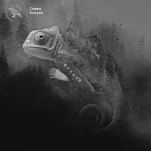 Vanish (12'' Ep) [Vinyl Maxi-Single] von USM VERLAG