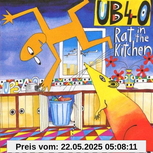 Rat in the Kitchen Rat in the Kitchen von Ub40