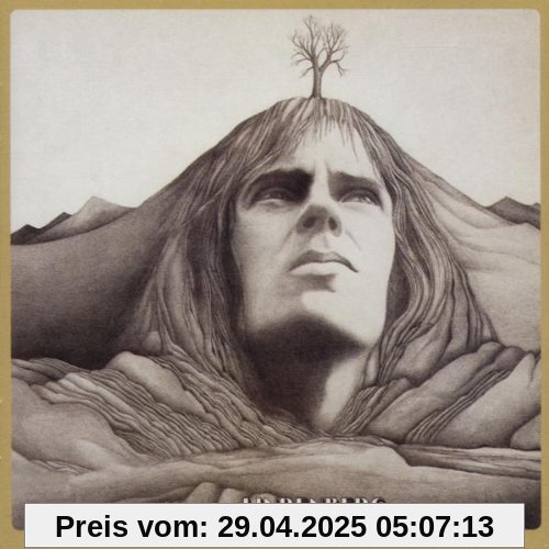 Lindenberg von Udo Lindenberg