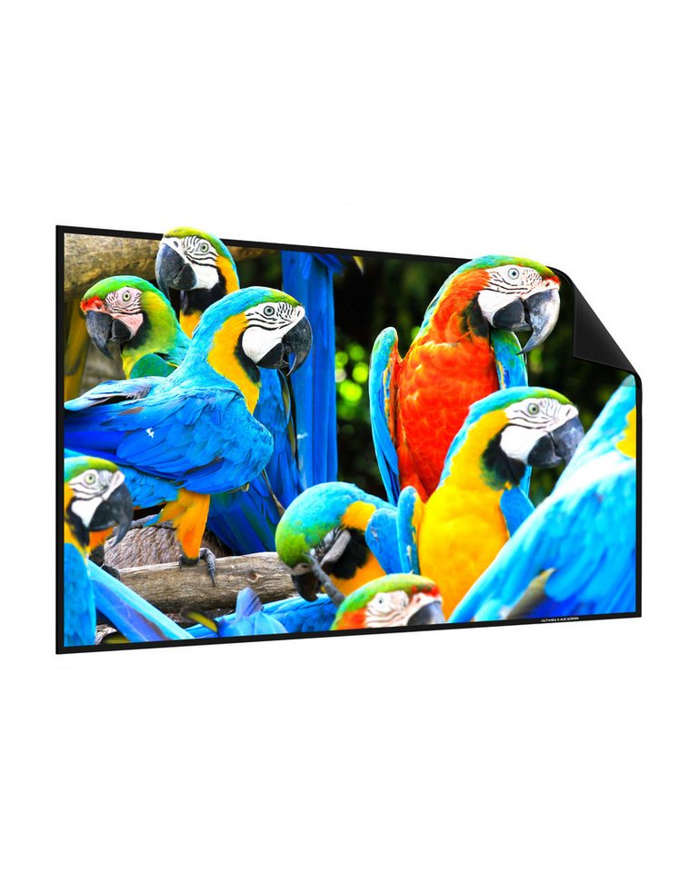 Ultimea 120 Zoll E-ALR Projektionsleinwand, 4K HD Silberleinwand Faltrahmenleinwand (für Außenbereich & Heimkino, tragbare Wandmontage-Kinoleinwand) von Ultimea