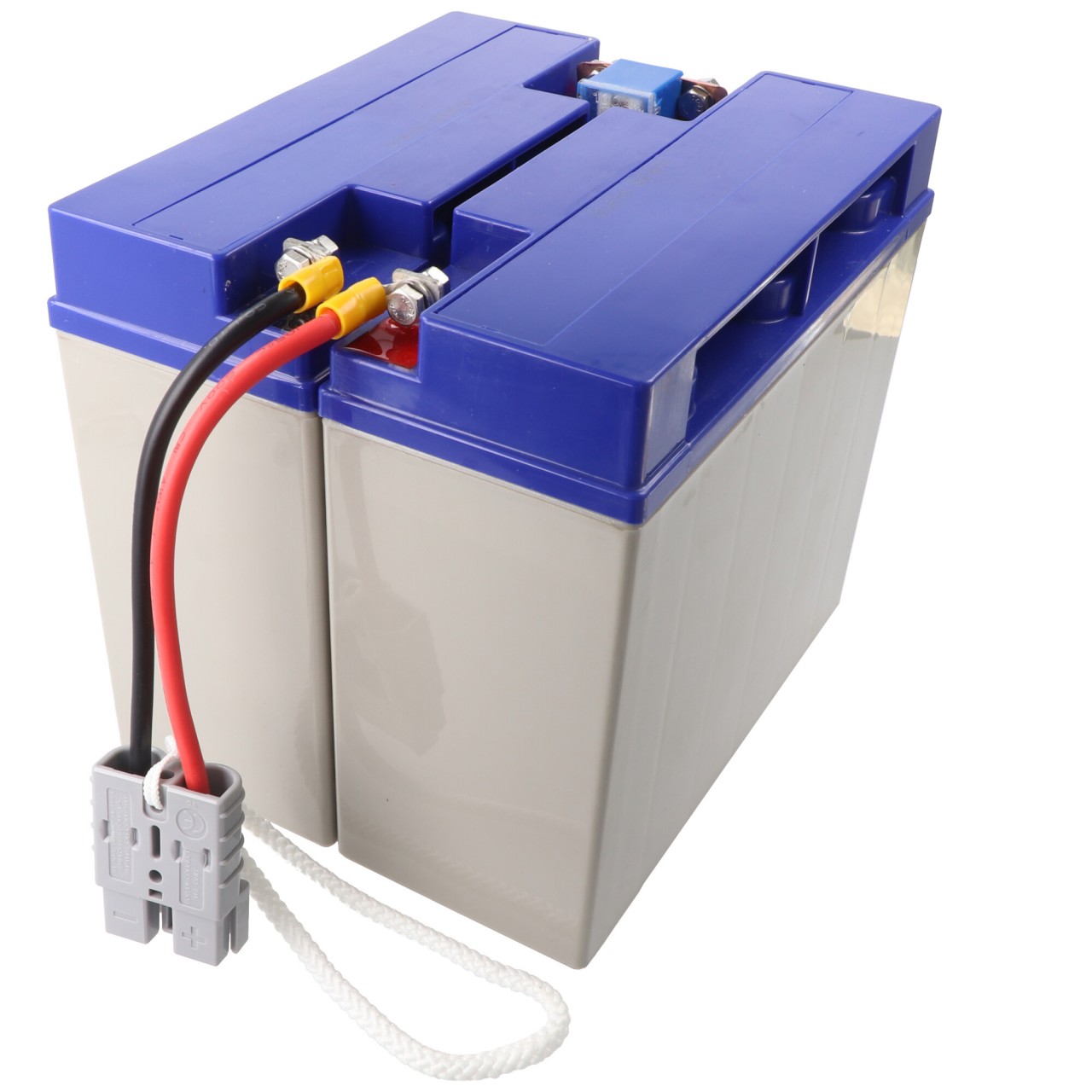 Akku passend für APC-RBC7, SU1000XLJ, SU1400, DLA1500I mit Kabel und Stecker Akku passend für APC-RBC7, SU1000XLJ, SU1400, DLA1500I mit Kabel und Stecker von Ultracell