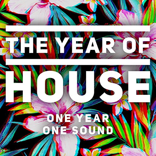 The Year of House von Umtv