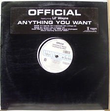Anything You Want [Vinyl LP] von Umvd Labels