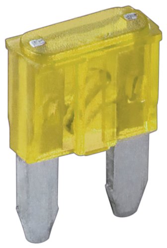 100 Stück Wentronic KFZ Sicherung mini 20 A gelb Kfz-S von Unbekannt