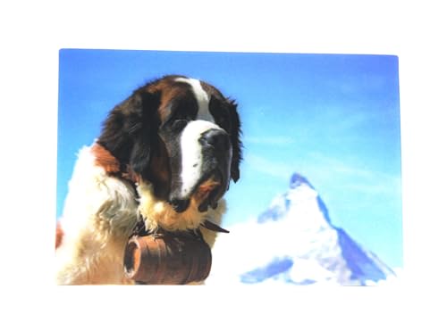3 D Ansichtskarte Bernhardiner, Postkarte Wackelkarte Hologrammkarte Tier Hund von Unbekannt