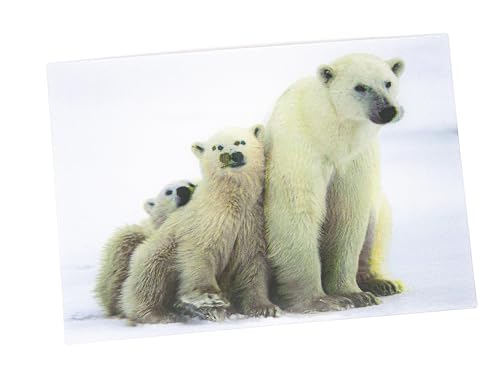 3 D Ansichtskarte Eisbären, Postkarte Wackelkarte Hologrammkarte Tier Eisbär von Unbekannt