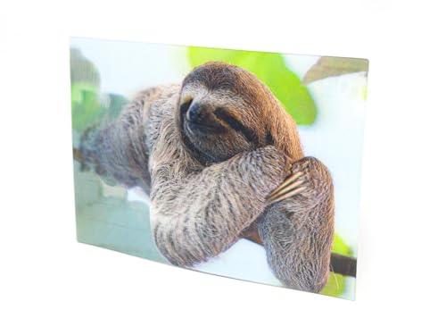 3 D Ansichtskarte Faultier, Postkarte Wackelkarte Hologrammkarte Tier Faultiere von Unbekannt
