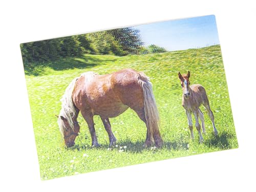 3 D Ansichtskarte Haflinger, Postkarte Wackelkarte Hologrammkarte Tier Pferde von Unbekannt