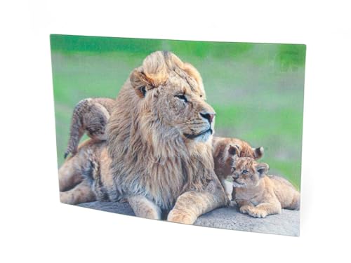 3 D Ansichtskarte Löwen Postkarte Wackelkarte Hologrammkarte Tier Löwe Raubkatzen von Unbekannt