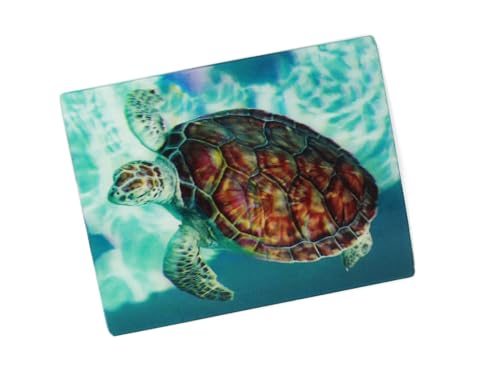 3 D Ansichtskarte Meeresschildkröte, Postkarte Wackelkarte Hologrammkarte Tier Schildkröte von Unbekannt