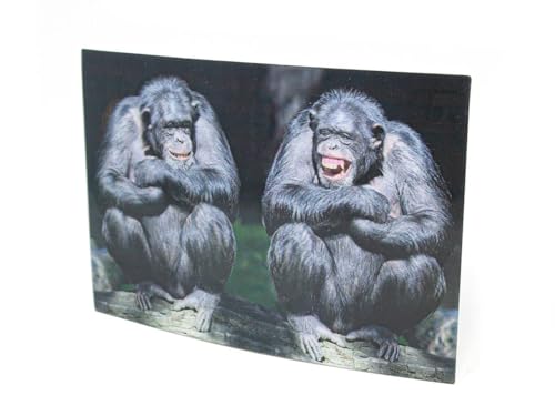 3 D Ansichtskarte Schimpansen, Postkarte Wackelkarte Hologrammkarte Tier Affen von Unbekannt